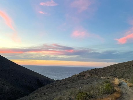 Dylan Cooper nus étoiles collection