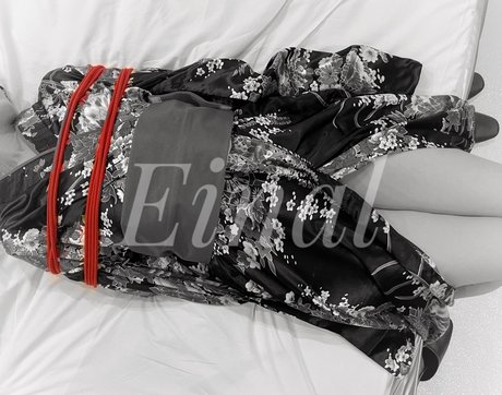 einal jap nus étoiles galeries