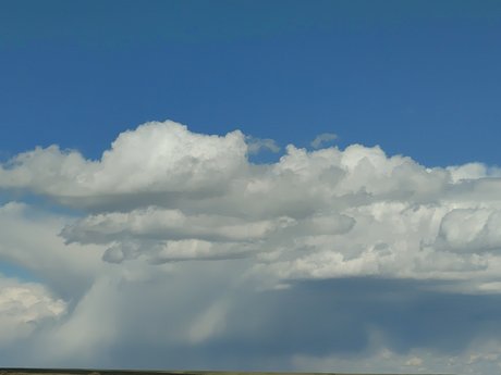 7 Cats xxx star du porno images