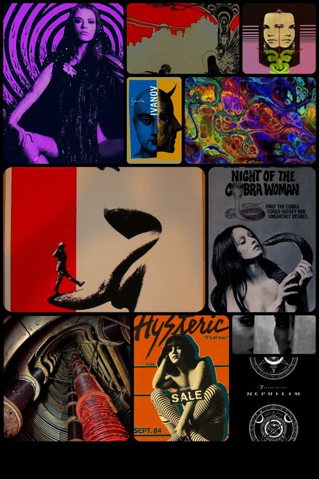 David Gray star du porno sympa photo