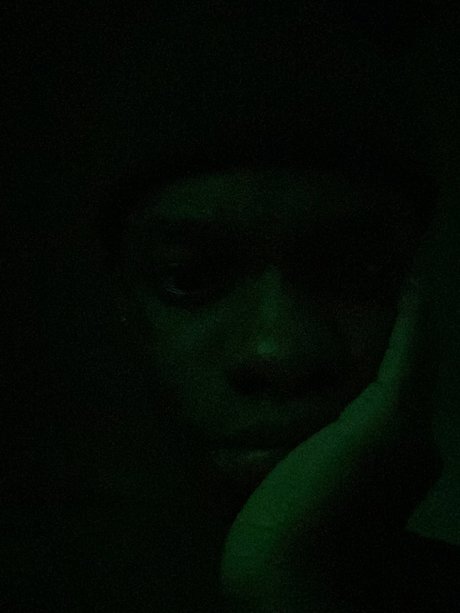 nigel roberts modèle artistique galerie