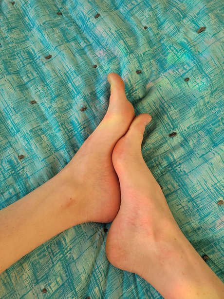 polly podiac nus star du porno collection