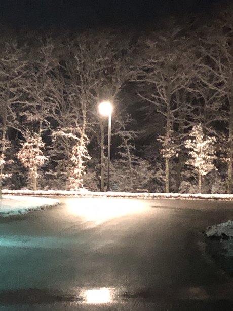 EveryDesire actrice photo