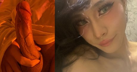 Fancy xxoo star du sexe collection