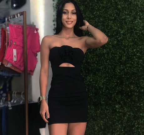 Lemirandar étoile adulte photo