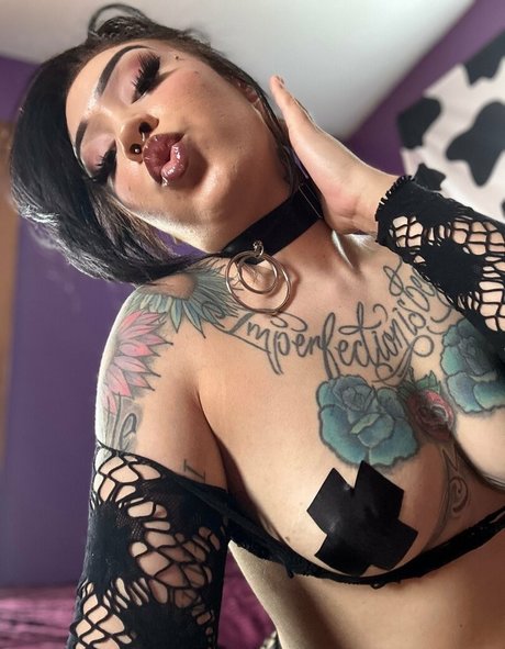 ppv uniquement pour les fans meilleur gratuit collection