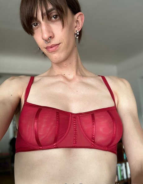 distyditz art star du porno galerie