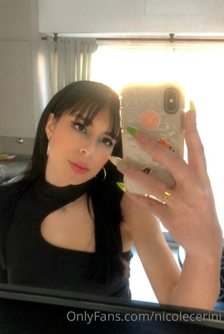 nickycerini art étoile img