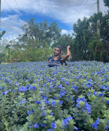 Plantbae jolie star du porno collection