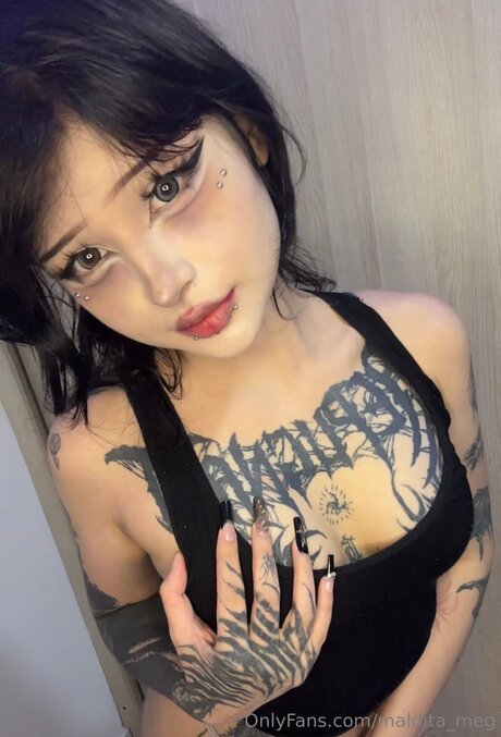 maldita meg haut étoile img