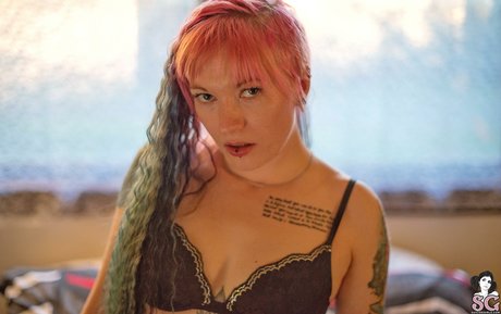 Venomousrose star du porno collection