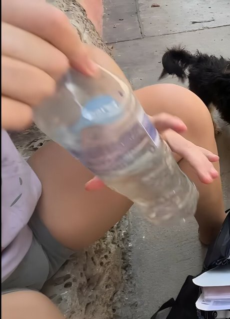 Ana Tondo art modèle img