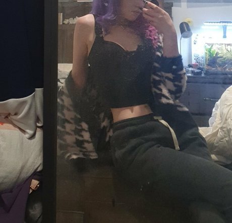 honey bxdger free modèle gratuit images