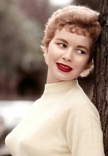 fellation publique onlyfans adulte en haute qualité galeries