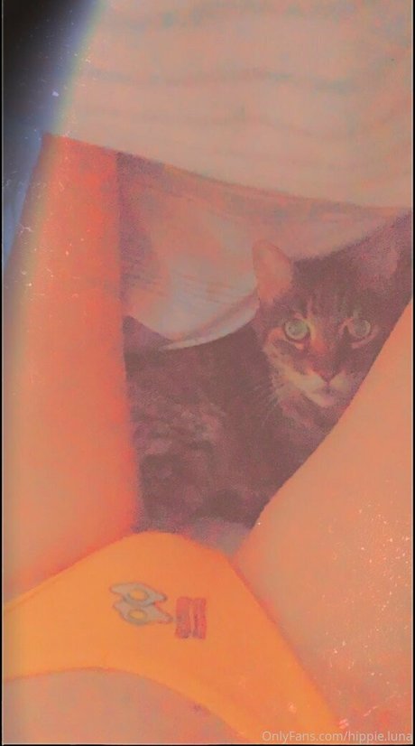 hippie luna jolie actrice photo