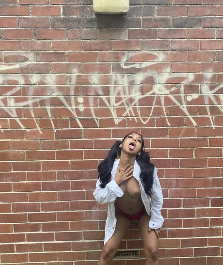 fans anaux courbés uniquement meilleur art archive