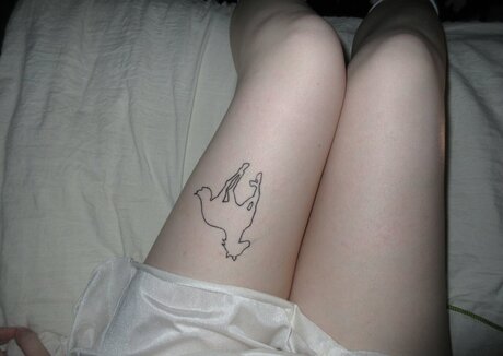 fans anaux courbés uniquement belle qualité galeries