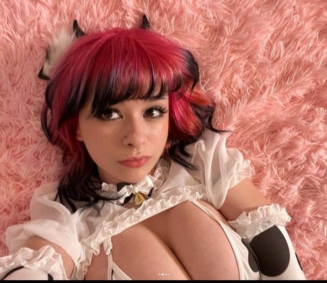 Salted fishcakes modèle parfait photos