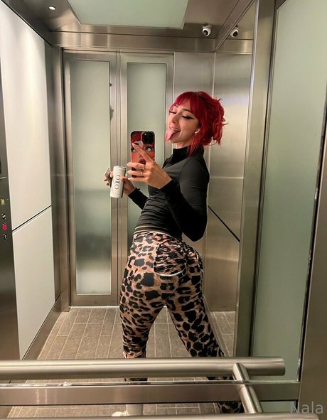 gros cul gros seins onlyfans top jolie img