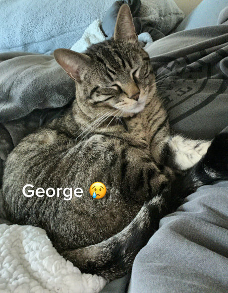 lesbiennes aux gros seins onlyfans exclusif gratuit des photos