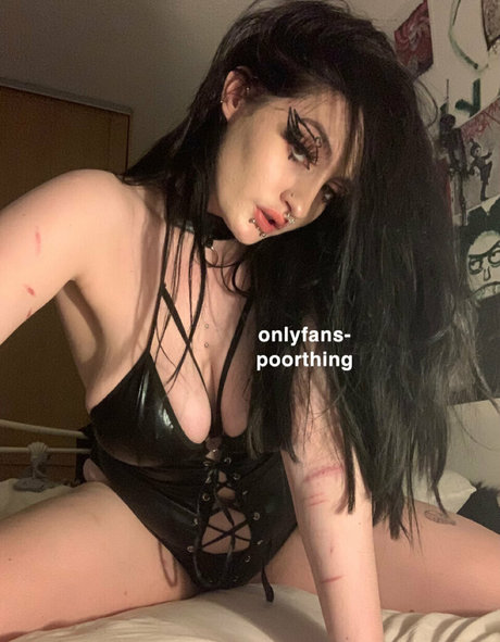 poorthing étoile magnifique img