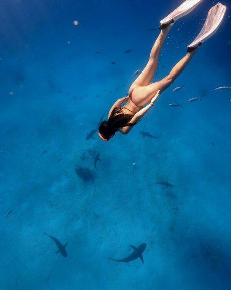 Tara Yummy étoile sympa images