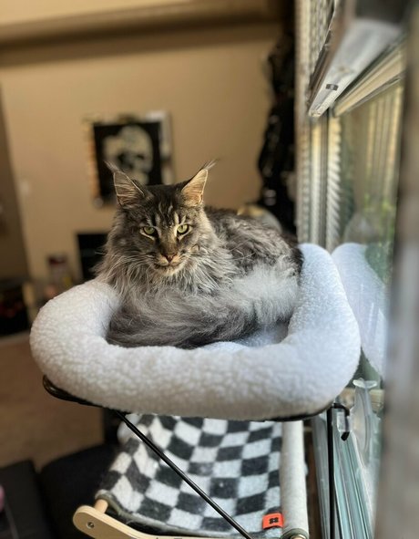 sperry69 star du porno adulte des photos