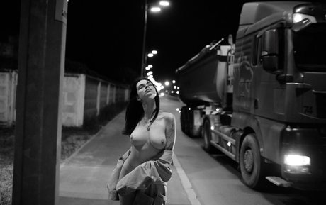 a krivoshlyk art star du porno collection