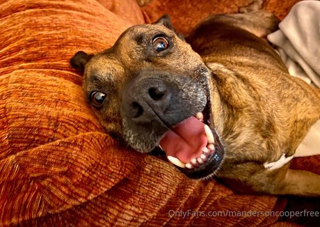 fans publics de la bbc uniquement parfait meilleur archive