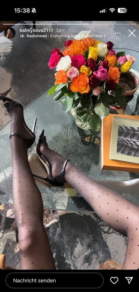 Kalmykova2111 étoile hd photos