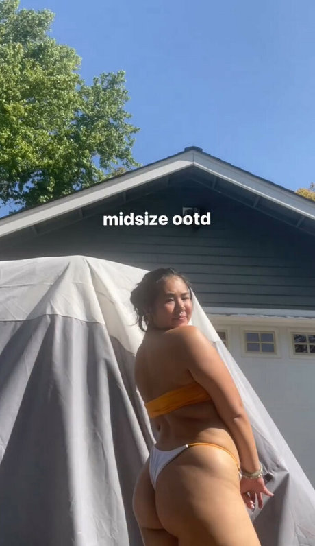 chloroblasts joli modèle galeries