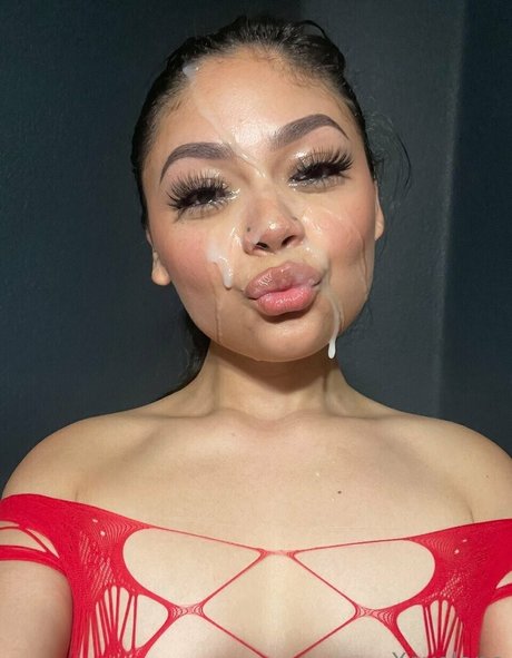 Xoxo lane art modèle collection