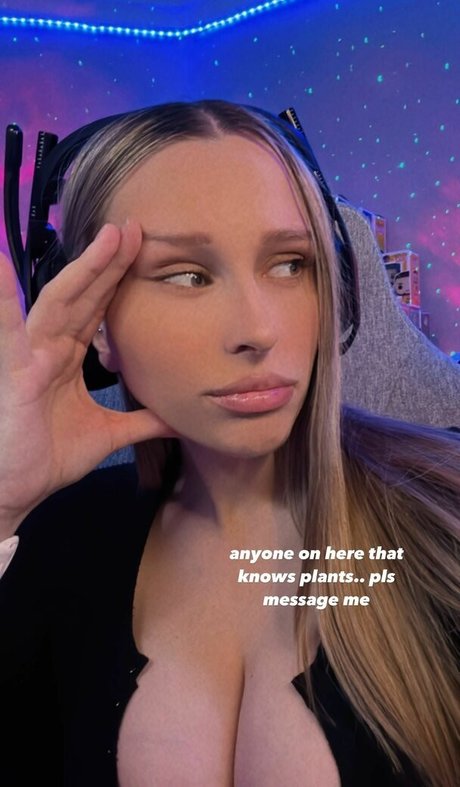 Cobyymj étoile de l'art images