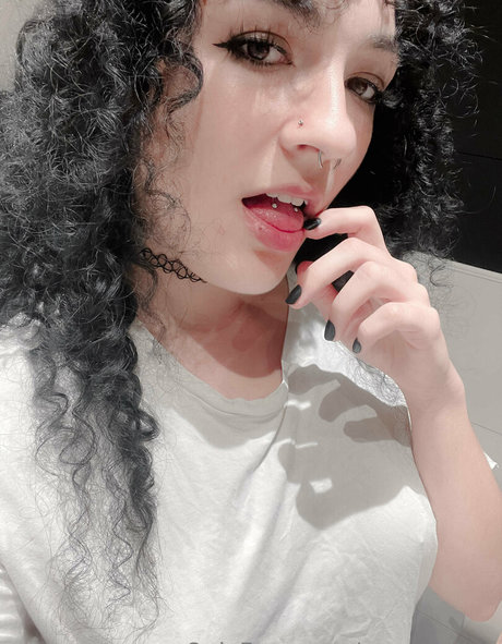 meroswitch modèle exclusif galeries