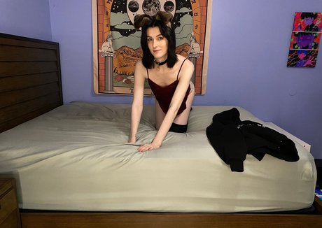 AnnieDro actrice adulte photos