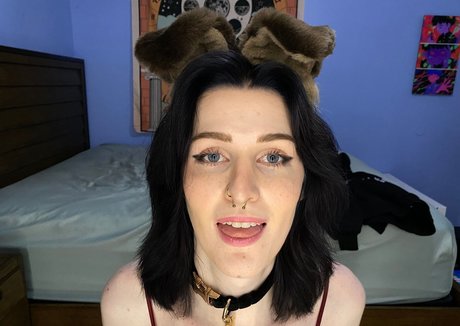 AnnieDro haut modèle archive