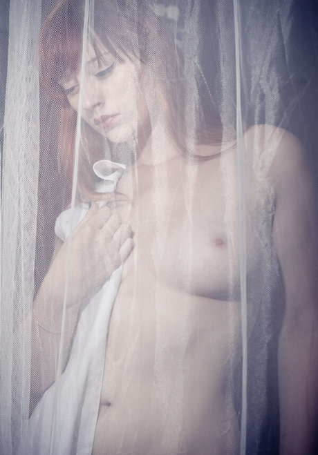 Necianavine belle étoile photos