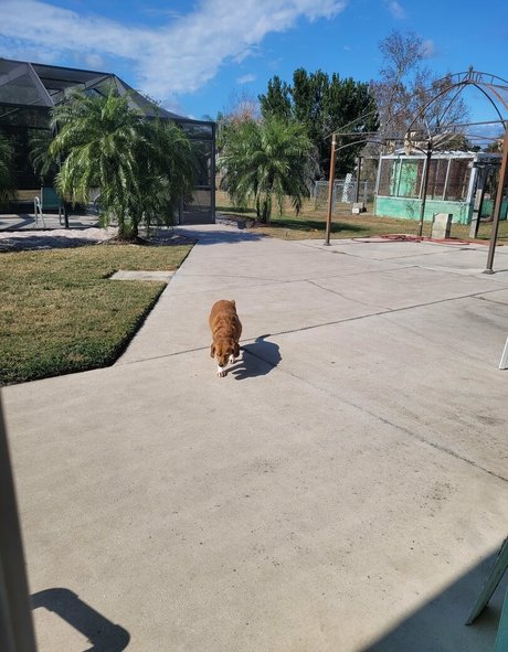 heavenlyterp mannequin archive