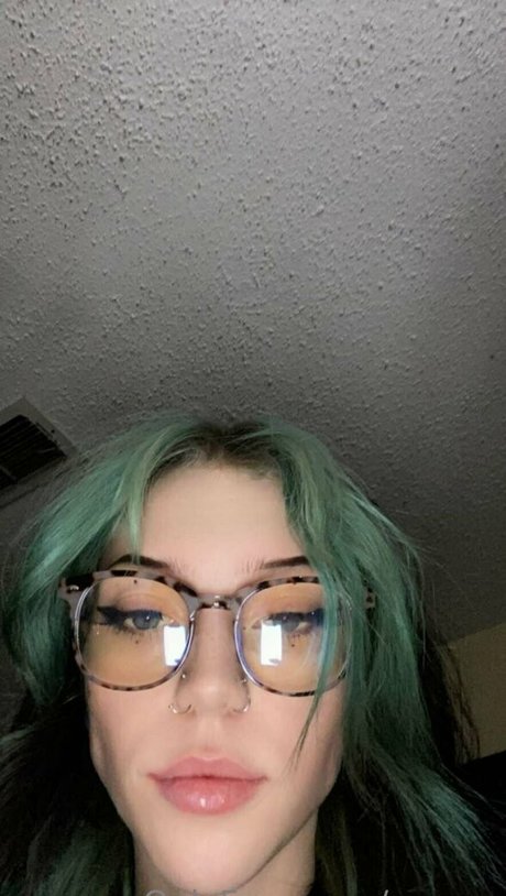 scvum meilleure star du porno image