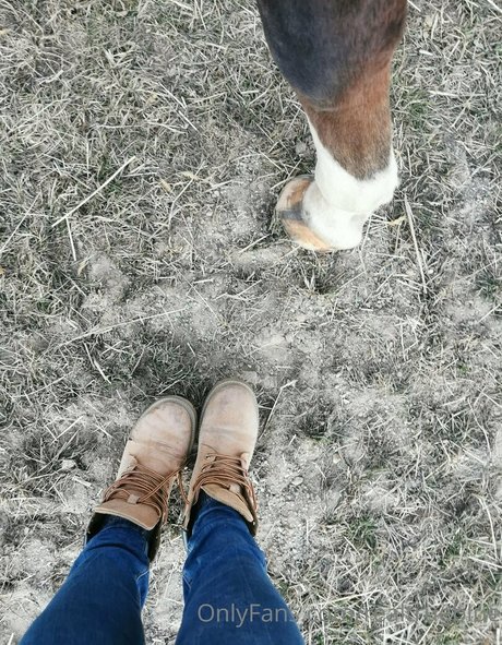 truestellablue art étoile photo