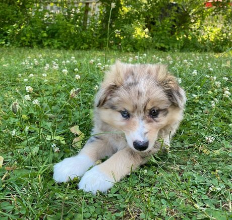 Nicole A Foster star du porno nue image