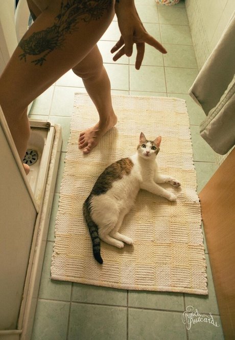 pawg épais uniquementfans pornographique sympa images