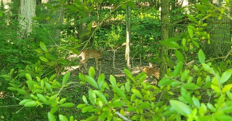 nellebeachgirl modèle sympa des photos