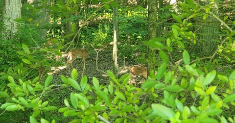 nellebeachgirl actrice artistique archive