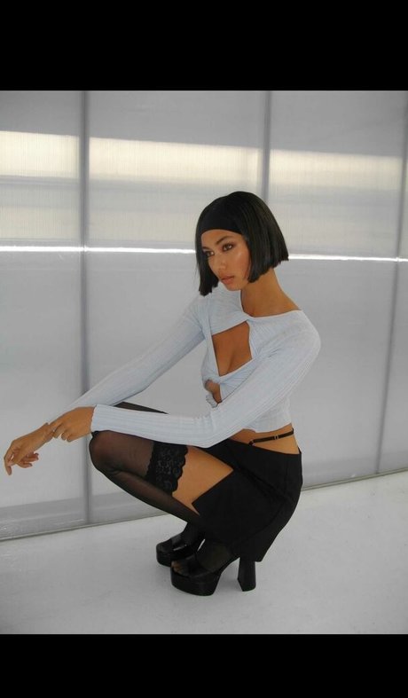 Bridget Gao Hollitt art de star du porno img