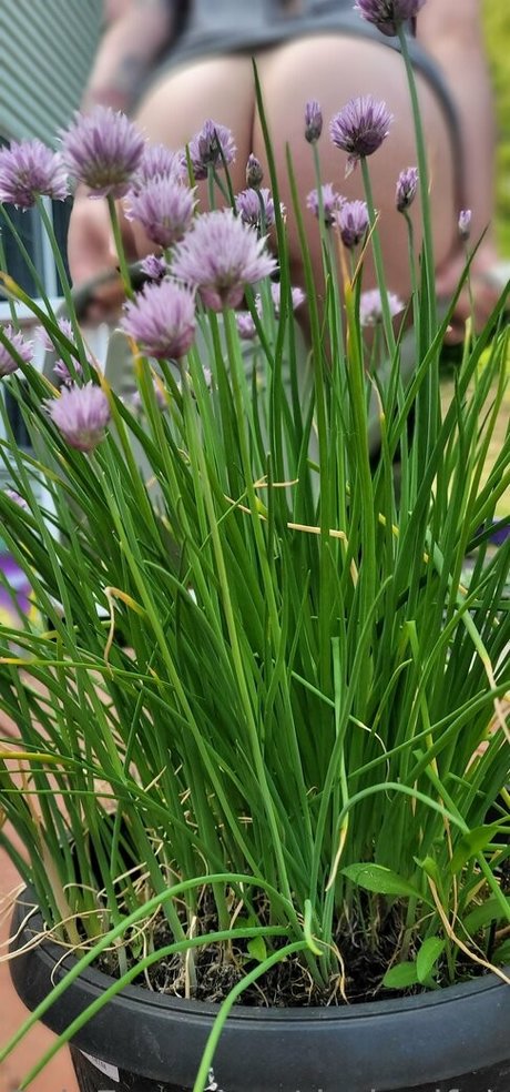 darkreifree étoile exclusive des photos