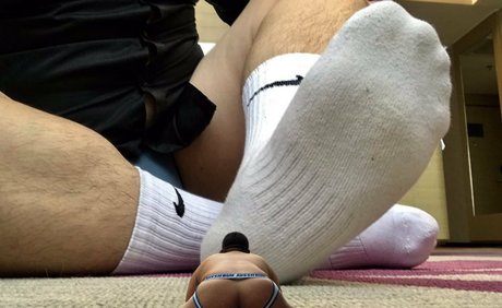 wild boar giant beau modèle galerie