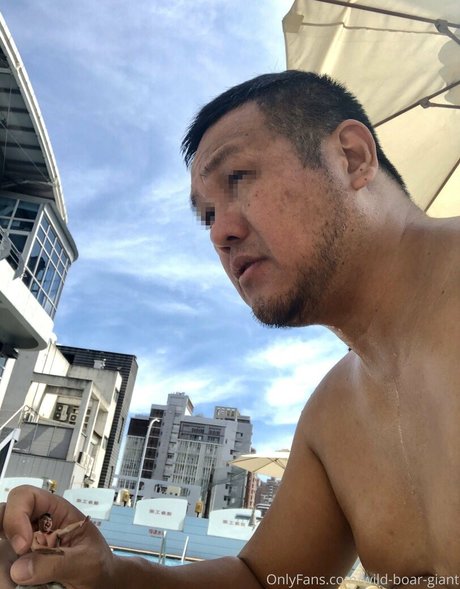 wild boar giant nus de stars du porno image