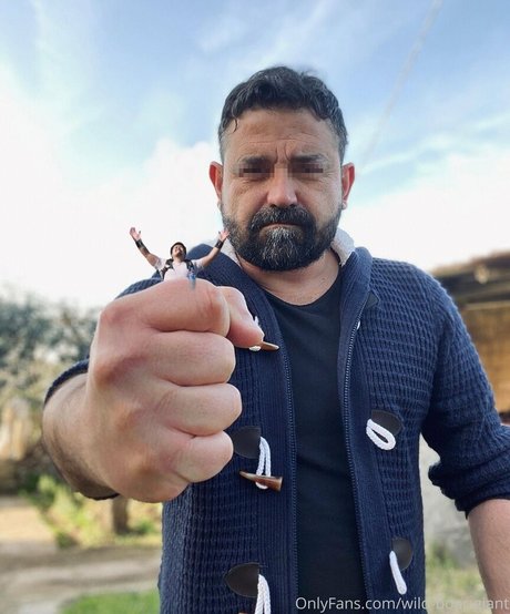 wild boar giant étoile de haute qualité photos