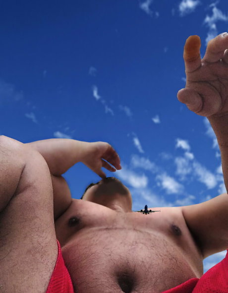 wild boar giant star du porno galeries